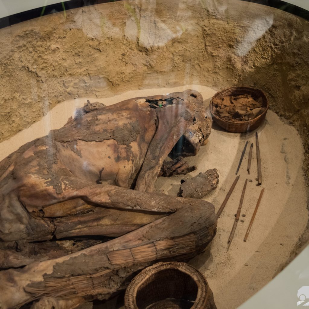 Momia del Museo Egipcio de Torino